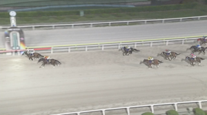 【大井記念】ライトウォーリア＆クアトロ騎手がｷﾀ━━━━(ﾟ∀ﾟ)━━━━!!