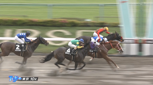 【立川特別】アンジュフィールド&三浦騎手がキタ━━━━(゚∀゚)━━━━!!