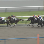 【平安S】メイショウハリオさん前が壁　他