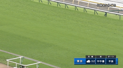夜中に雨が降った東京競馬場