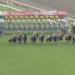 【オークス】カムニャック&シュタルケ騎手がキタ━━☆゚・*:。.:(゚∀゚)゚・*:..:☆━━━!!