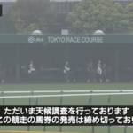 東京9R富嶽賞 天候調査