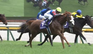 昨年のヴィクトリアマイルでテンハッピーローズが爆走した理由、まだわからない