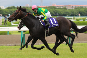 過去3年のダービー馬を輩出した種牡馬＝サトノクラウン、エピファネイア、キタサンブラック