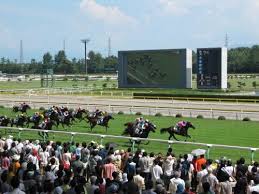 そろそろ新しい競馬場欲しいよね