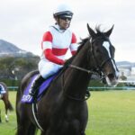 1番レベルの高かった牡馬クラシック