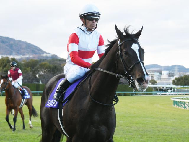 1番レベルの高かった牡馬クラシック