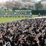 やっぱりオイオイが無いとG1が盛り上がらない