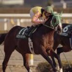 競馬ハマって3年ぐらいでは知らないであろう競走馬出した奴が優勝