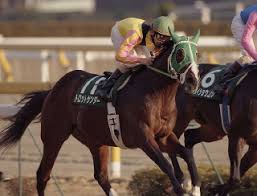競馬ハマって3年ぐらいでは知らないであろう競走馬出した奴が優勝
