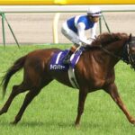 今さらダメジャーだのタイドの産駒がGⅠ勝つことについて