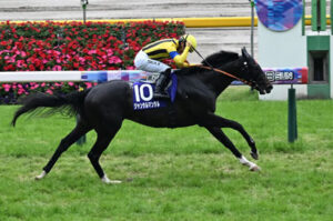 【安田記念】2番人気ジャンタルマンタル好位から抜け出し快勝！G1･３勝目