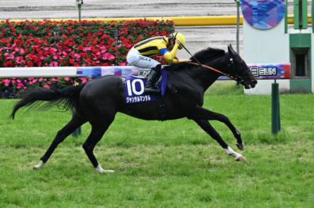 【安田記念】2番人気ジャンタルマンタル好位から抜け出し快勝!G1・3勝目