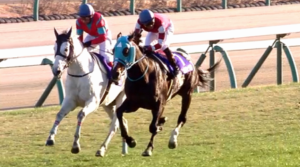 オジュウチョウサン顕彰馬に2票足りず落選　得票率74.1％