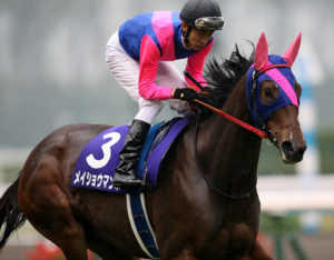 【競馬】メイショウマンボステイヤー説