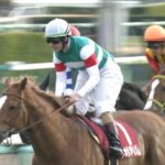 【競馬】ネオリアリズム、シュタルケで大阪杯にwwwwww