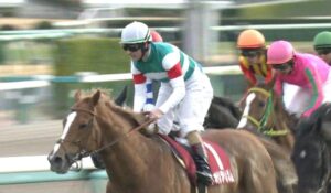 【競馬】ネオリアリズム、シュタルケで大阪杯にｗｗｗｗｗｗ