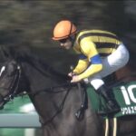 【競馬】阪大のサトノダイヤモンドと桜のソウルスターリングはどちらが堅いか