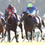 史上最弱のGI 2着馬を教えて