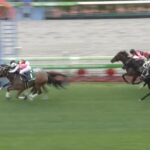 【函館スプリントステークス2025】結果・動画/カピリナがレコード決着を制す