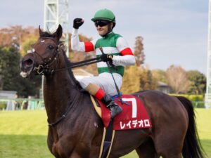 大失敗種牡馬と言われるレイデオロさん。なんだかんだで初年度産駒重賞馬3頭も出す