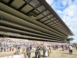 競馬場って指定席（スマシ）取れないと行く意味なくない？