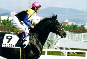 ディープ最大の功績はブラックタイドを種牡馬にしたこと