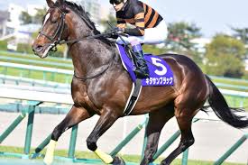 キタサンブラック産駒　G1　9勝