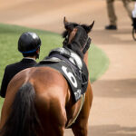 【2歳新馬】コントレイル産駒3頭出しもデビュー勝ちならず