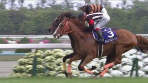 【競馬】天皇賞春は即刻2400mに距離短縮せよ