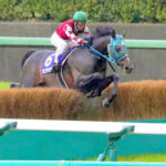 識者「オジュウチョウサンは顕彰馬にすべきではない」