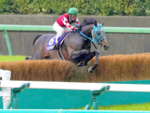 識者「オジュウチョウサンは顕彰馬にすべきではない」