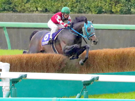 オジュウチョウサン顕彰馬に2票足りず落選　得票率74.1％