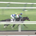 【3歳未勝利】小林美駒、武の逃げを潰すも敢えなく玉砕