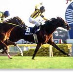 見事なまでにカッコいい馬名