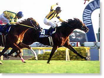 見事なまでにカッコいい馬名