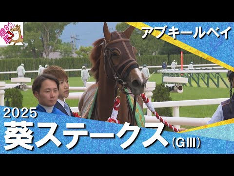 2025年 葵ステークス (GⅢ) アブキールベイ 実況:服部優陽【カンテレ公式】