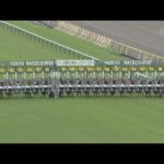 2025 MEGURO KINEN (G2) | JRA Official