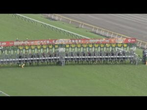 2025 TOKYO YUSHUN (JAPANESE DERBY) (G1) | JRA Official