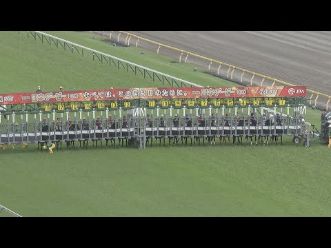 2025 TOKYO YUSHUN (JAPANESE DERBY) (G1) | JRA Official