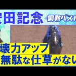 「柔らかいフォーム、ストライドの伸び◎」ソウルラッシュ、ジャンタルマンタル、ウォーターリヒト・・・競馬エイト・高橋賢司トラックマンの調教解説<安田記念(GⅠ)>