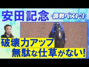 「柔らかいフォーム、ストライドの伸び◎」ソウルラッシュ、ジャンタルマンタル、ウォーターリヒト・・・競馬エイト・高橋賢司トラックマンの調教解説＜安田記念(ＧⅠ)＞