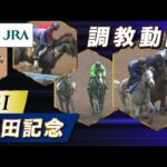 【調教動画】2025年 安田記念|JRA公式