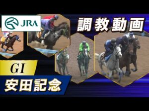 【調教動画】2025年 安田記念｜JRA公式