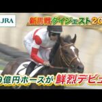 【新馬戦ダイジェスト】ダノンヒストリー・ディバインウインド ほか | 6月7日~6月8日(東京・阪神) | JRA公式
