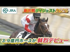 【新馬戦ダイジェスト】ダノンヒストリー・ディバインウインド ほか | 6月7日～6月8日（東京・阪神） | JRA公式