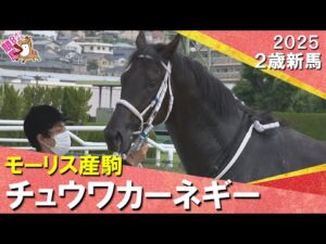 世代の一番星！チュウワカーネギー　北村友一騎手「期待通りの走りでした」　2025年 6月7日(土)２歳新馬　阪神芝1600ｍ　実況：服部優陽【カンテレ公式】
