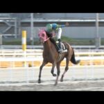 アタック!地方競馬|第324回|18歳の優駿ジョッキー誕生!|NAR公式
