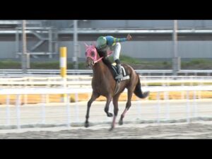 アタック！地方競馬｜第324回｜18歳の優駿ジョッキー誕生！｜NAR公式
