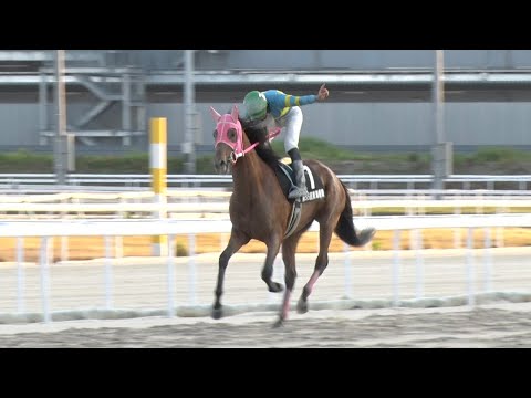 アタック!地方競馬|第324回|18歳の優駿ジョッキー誕生!|NAR公式